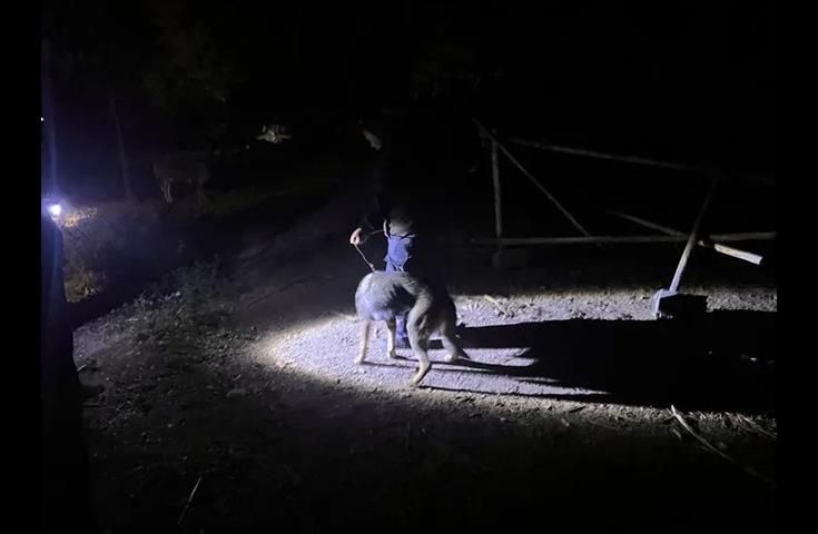 “汪汪队”立功！九旬老人深山失联，灵山警民联手奋战29小时成功救援！